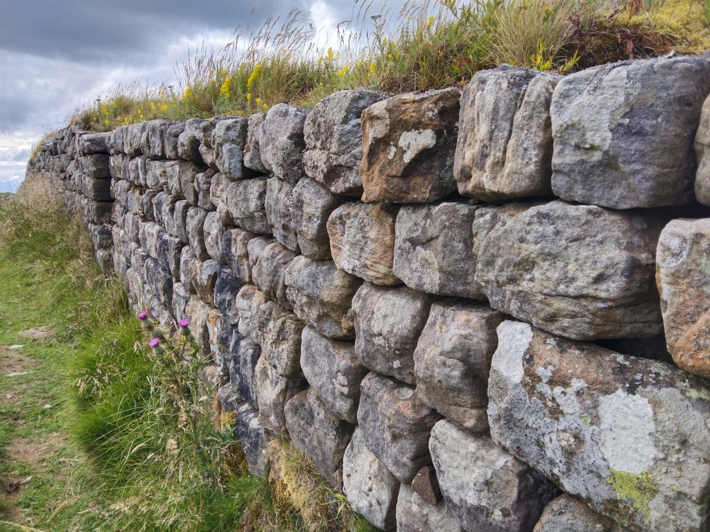 Close-up view of Hadrian's Wall stones with wildflowers growing on top